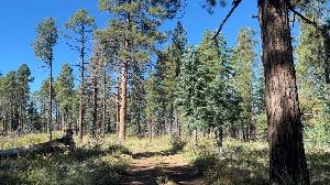 IMG_1923 2.jpg